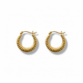Golden Aura Earrings
